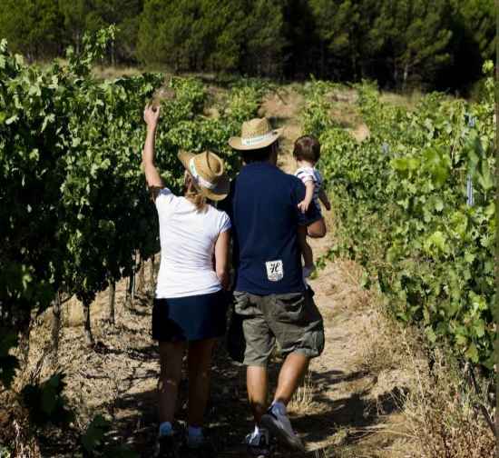 Ruta del Vino Ribera del Duero organizar castings para su prxima campaa publicitaria